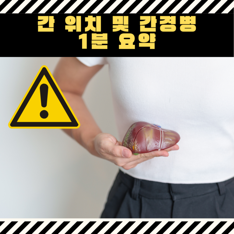 간 위치 및 간경병